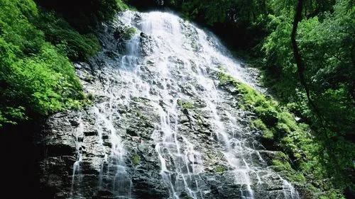 可靠性高性能高标准